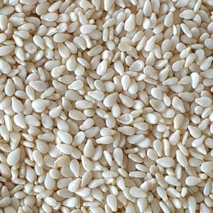 Stock disponible, vente en gros, approvisionnement en vrac, graines de sésame de qualité supérieure, meilleure qualité, fabricant exportateur - Product Image 1