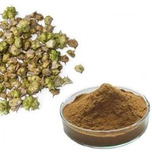 Tribulus Terrestris Fórmula Natural para Energía, Resistencia, Fuerza y Mejora del Bienestar Diario - Product Image 1