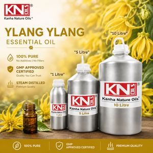 Aceite Esencial de Ylang Ylang 100% Puro, Certificado Orgánico, Grado Cosmético, Fabricante Directo de Fábrica y Exportador Global - Product Image 2