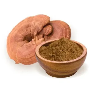 Poudre de champignon Reishi en vrac, fournisseur best-seller, 100% naturelle, utilisée dans les produits cosmétiques et de beauté à base de plantes - Product Image 5