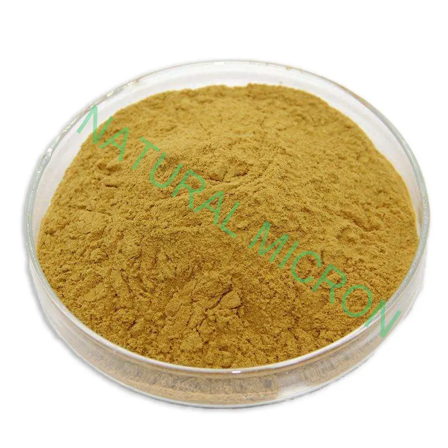 Toevoegingsmiddel Plant Yucca Extract Sarsaponine/Yucca Saponine 30%-60%