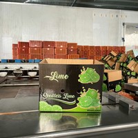 Sappige Vietnam Pitloze Citroenen Die Van Nature Worden Geteeld Voor Exportmarkten, Een Schone, Gladde Huid, Zoete En Pittige Smaak Verpakt Voor Verkoop