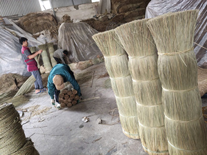 High Quality Natural Seagrass Raw Material From Vietnam For Handicrafts Home Decor And Furniture Production - Product Image 6
