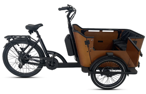 Nouveau modèle 2026 : Vélo cargo électrique 2 places avec moteur 500W, capteur de couple, une autonomie étendue de 72 km et un éclairage ultra-lumineux - Product Image 2