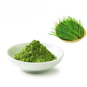 Export Quality 100% Natural <b>Wheat</b> Grass Powder Pure Food Grade Dried <b>Wheat</b> Grass Powder for Herbal Drinks and Energy Supplement - Product Image 3