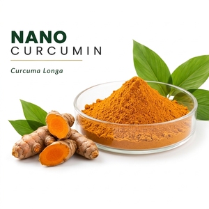 Polvo de Curcumina Nano, Extracto de Curcuma Longa en Polvo Fino para Suplementos Alimenticios - Product Image 1