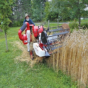 Moissonneuse-batteuse compacte efficace offrant une récolte rapide des cultures, un battage et un ramassage des grains pour les petites exploitations - Product Image 5