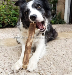 Palitos de Madera de Café 100% Naturales, Juguete Masticable Ecológico para Perros, Los Mejores Juguetes para Perros de Green Future Vietnam - Product Image 5