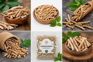 Polvo de Ashwagandha Orgánico |   Hierba Adaptógena Natural Pura para Suplementos Herbales, Productos de Bienestar y Suministro al por Mayor - Product Image 3