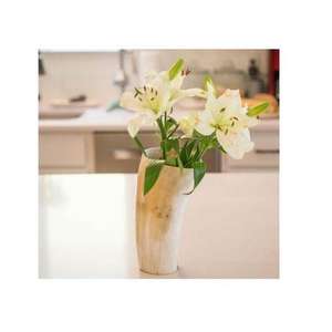 Florero de Cuerno de Búfalo Antiguo Hecho a Mano, Decoración de Hogar de Lujo Natural Única con Diseño Rústico, Opciones de Tamaño para Mesa de Centro - Product Image 5