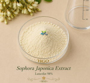 HGO Factory Direct Supply Extrait de sophora japonica naturel pur (qualité alimentaire) Spécification lutéoline 95% (extrait standardisé) - Product Image 1