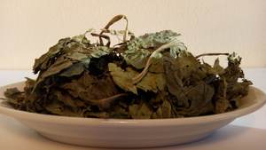 Esencia Botánica Oriental: Hojas Secas de Plantago Asiatica para Compradores de Hierbas en Todo el Mundo - Product Image 3