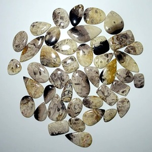 Wholesale Supply Natural Fossilized Palm Root Gemstone Beautiful Organic Pattern Stone for Jewelry Making At Best Market Price - Product Image 6