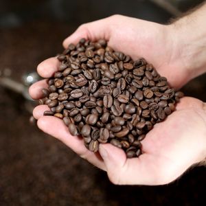 Robusta Coffee Green Bean Collection Featuring Intense Notes Balanced Texture And Fresh Crop Availability Worldwide - Product Image 2