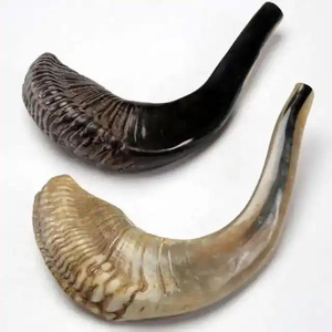 Chupete de Cuerno de Búfalo Ecológico Premium, Duradero, Natural, para Perros Activos - Product Image 1