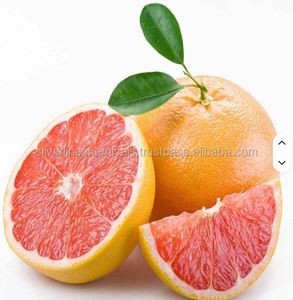Natural Citrus Grapefruit <b>Essential</b> <b>Oil</b> for Soap Making Used in handmade and commercial soap production by manufacture - Product Image 3