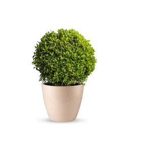 Pots de fleurs en rotomoulage pour l'intérieur et l'extérieur, jardinières, conteneurs pour plantes, décoratifs, élégants, modernes, durables, légers - Product Image 2