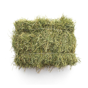 Foin de Timothy de haute qualité, adapté aux achats en gros et à l'alimentation du bétail - Product Image 5