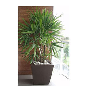 Macetas de Diseño Personalizado para Decoración del Hogar, Paisajismo y Espacios Comerciales a Precio de Mayoreo - Product Image 2