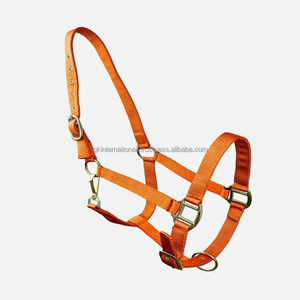 Ensemble de laisse et collier pour cheval en nylon coloré et réglable avec accessoires en or rose, laisse et collier assortis - Product Image 6