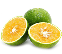 Naranja verde de Vietnam/mandarina King/fruta fresca para importadores