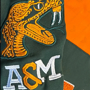 เสื้อฮู้ดดี้แบบยูนิเซ็กซ์ รุ่น 1887 สำหรับฤดูใบไม้ร่วง ออกแบบลายเชนิลล์ตามสั่ง ขายส่ง ปักโลโก้ FAMU สีพื้น - Product Image 2