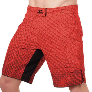 Shorts MMA légers de qualité supérieure pour hommes, vêtements de fitness modernes avec maille respirante et confort optimal. - Product Image 1