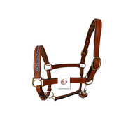 Harnais pour cheval en cuir artisanal, réglable, robuste, équipement d'équitation