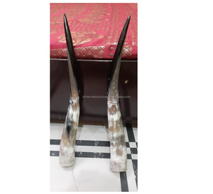 Corne de poire décorative à prix bas, ensemble de paires de corne longue et petite taille, meilleures ventes, corne de paire décorative d'hôtel, meilleur design, pièce supérieure - Product Image 4