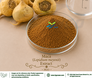 Hgo สารสกัดจาก Maca ส่งตรงจากโรงงาน (Lepidium meyenii walp.) สารสกัดจากอัตราส่วน (เกรดอาหาร) 4:1 5:1 10:1 20:1 100:1 200:1 - Product Image 1