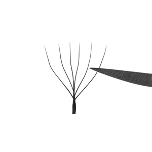 Extensions de cils Charmlash en gros, cils 5D W, meilleure qualité, cils russes, double pointe, noir intense, faits à la main, 0.05 0.07 - Product Image 6