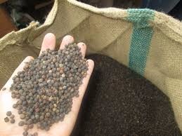 พริกไทยดำขายดี MC ASTA FAQ เวียดนาม พริกไทยดิบแห้งทั้งเม็ด กลิ่นหอมเข้ม รสเผ็ดร้อน สำหรับแปรรูปอาหาร ส่งออก - Product Image 5