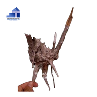 Nouvelles racines d'arbres flottants premium 2026 pour grands aquariums, idéales pour les magasins d'aquascaping, les animaleries et les acheteurs en gros mondiaux