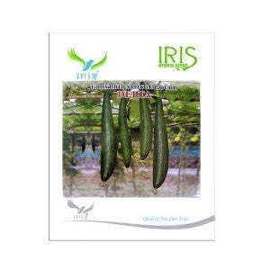 F1 สไตล์สดใส - Product Image 5