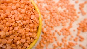 Lentilles Rouges Biologiques Séchées Premium, Masoor Dal Décortiqué, Prix Usine, Vente en Gros, Légumineuses Nouvelle Récolte, Exportateur en Vrac, Fournisseur Indien - Product Image 6