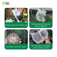 Pot de bouturage en plastique PP transparent léger de haute qualité, petit format, réutilisable, pour la création de couches d'air, outil de greffage