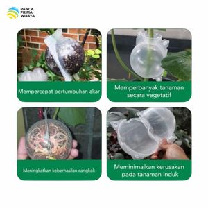 High Quality Transparent Lightweight PP <b>Plastic</b> Plant Rooting Ball Air Layering Pot Small Capacity Reusable Grafting Tool Made - Product Image 5