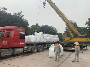 Fertilizante de fosfato de magnesio y calcio 15% P2O5 fabricado en Vietnam agricultura SSP líquido/polvo suelo y algas marinas Shilajit - Product Image 3