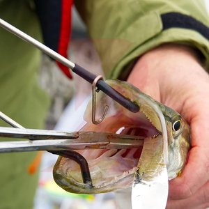 Mejor Producto 2026: Fabrica tus Propios Instrumentos Quirúrgicos de Acero Inoxidable, Pinzas Hemostáticas Kelly - Product Image 5