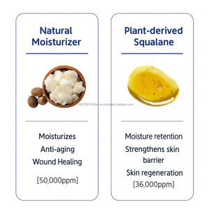 Crema Anti-Età OEM NMN per Pelle Luminosa Effetto Vetro, Booster per la Pelle, Essenza K-Beauty, Idratante Viso - Product Image 2