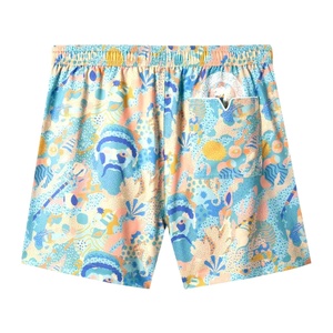 Shorts pour hommes de haute qualité, tendance, à séchage rapide, en toile, avec cordon de serrage, taille mi-haute, respirants, écologiques, décontractés, pour la plage - Product Image 2