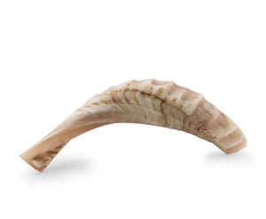 Grand Shofar traditionnel en corne de buffle, instrument sculpté avec motif d'amour - Product Image 2