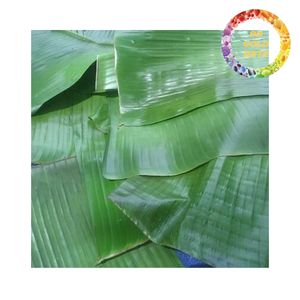 Feuilles de bananier congelées de qualité supérieure pour la cuisine traditionnelle et l'emballage alimentaire, export en vrac du Vietnam - Product Image 3