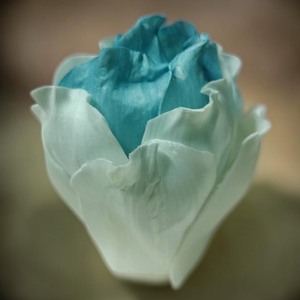 VADEE SOLA WOOD <b>FLOWER</b> SET ROSE <b>Diffuser</b> Set 06 6.5CM Lagoon Blue Sesbania Plant Fiber Rod Aromatherapy Handmade Sustainable - Product Image 3