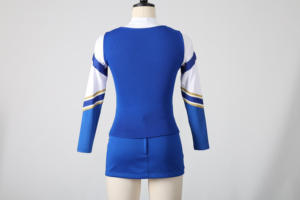 Ensemble d'uniformes de cheerleading personnalisés pour femmes, haut à manches longues, jupe, uniforme d'équipe sportive, spandex/polyester 300g OEM - Product Image 3