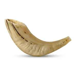 <b>Buffalo</b> <b>Horn</b> Natural Shape Polished Rustic Craft Home Decoration Animal Theme Durable Handmade <b>Horn</b> - Product Image 5