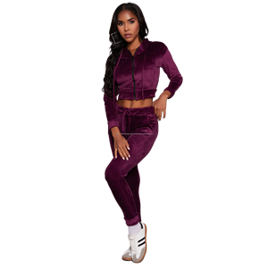 Chándales de mujer de alta calidad, ropa de calle personalizada, Sudadera corta de terciopelo con capucha y conjunto de Jogger suelto, chándales de dos piezas para mujer al por mayor. - Product Image 4