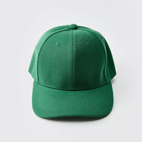 Gorras de Béisbol de 5 Paneles, Estilo Snapback, Visera Plana/Curva, Diseño Personalizado, Deportivas, Urbanas, 100% Algodón, Cierre Ajustable