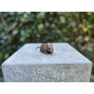 Ornement de rat en bronze, artisanat en métal, rat miniature décoratif en fonte, articles faits à la main à prix abordable - Product Image 2