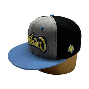 Casquette Snapback 6 Panneaux Lowdown Gris Bleu avec Logo Brodé Dessin Animé Unisexe Style Urbain Toile Respirante Imperméable Ajustable - Product Image 2